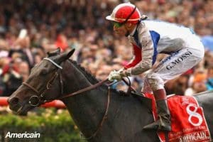 americain Who won the 2010 Melbourne Cup?