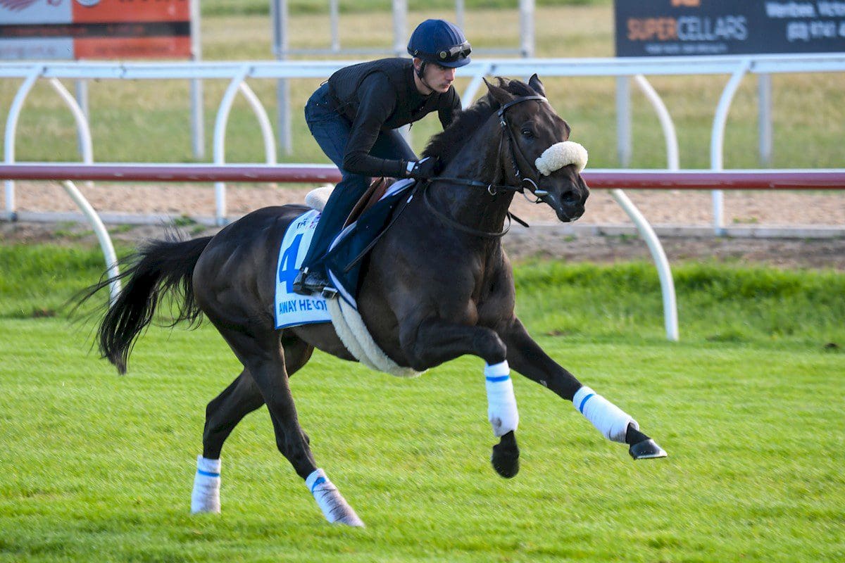 Away He Goes in trackwork at Werribee