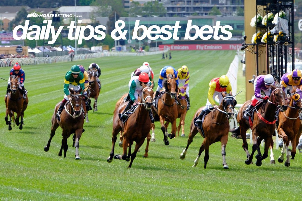 australia horse racing betting odds