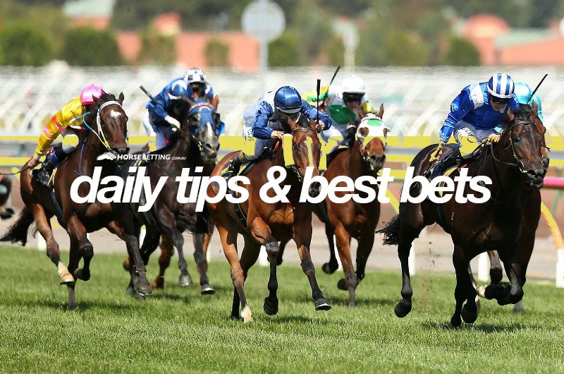 Horse racing tipster