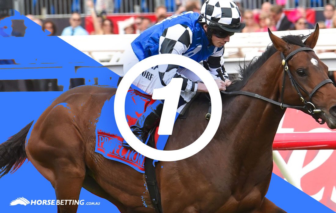 Melbourne Cup Protectionist