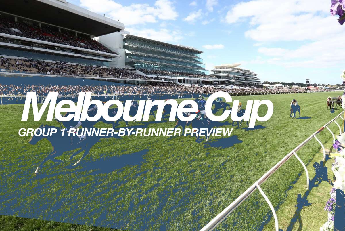 A runner-by-runner guide to the 2021 Melbourne Cup