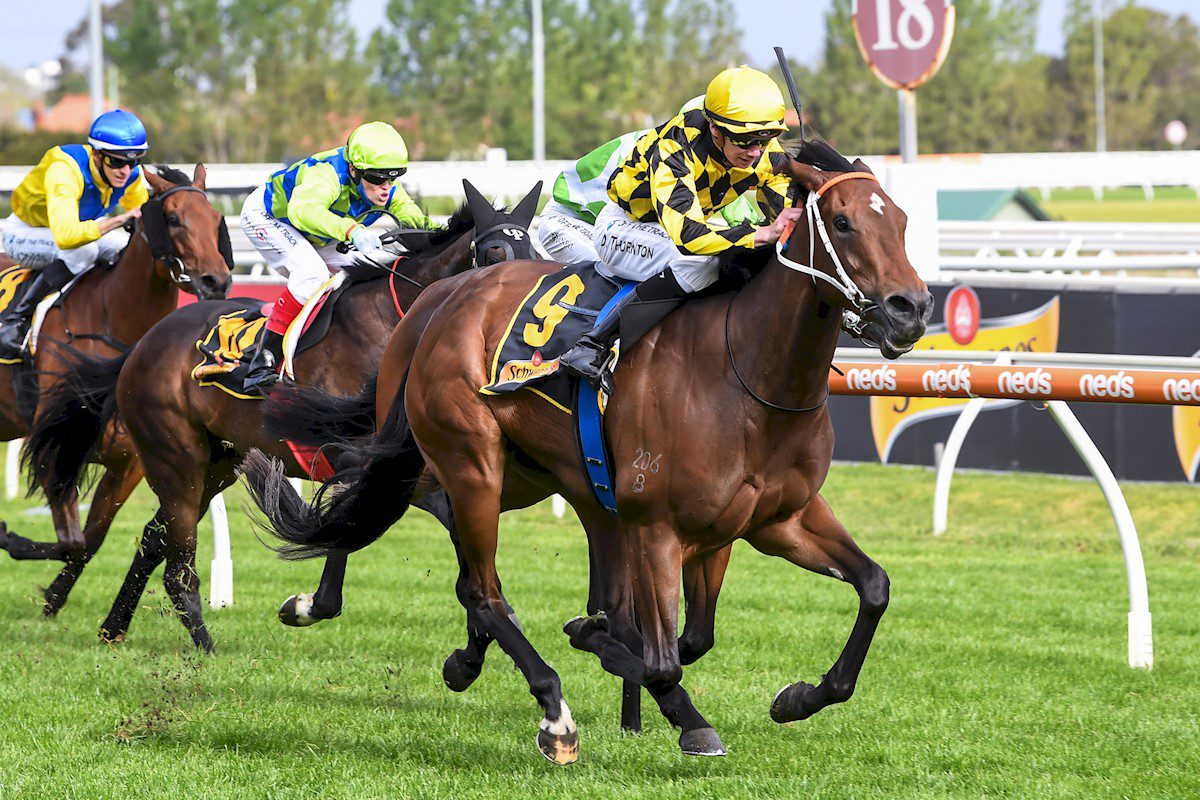 Yearning wins Thousand Guineas