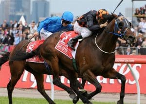 shocking-cup Who won the 2009 Melbourne Cup?