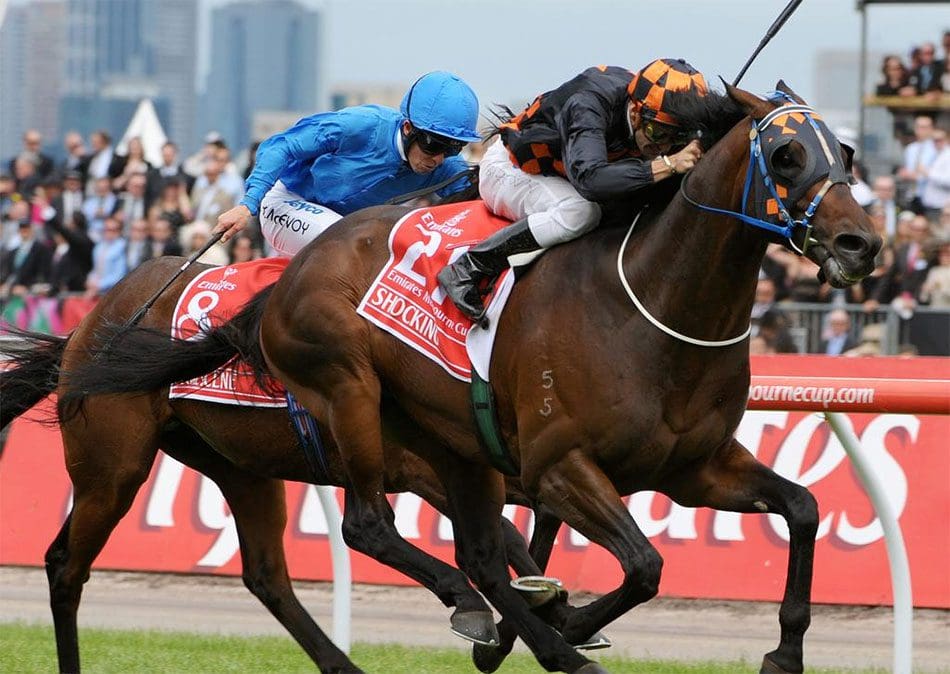 Melbourne Cup 2023: How Vintage Crop's 1993 win changed the Cup forever