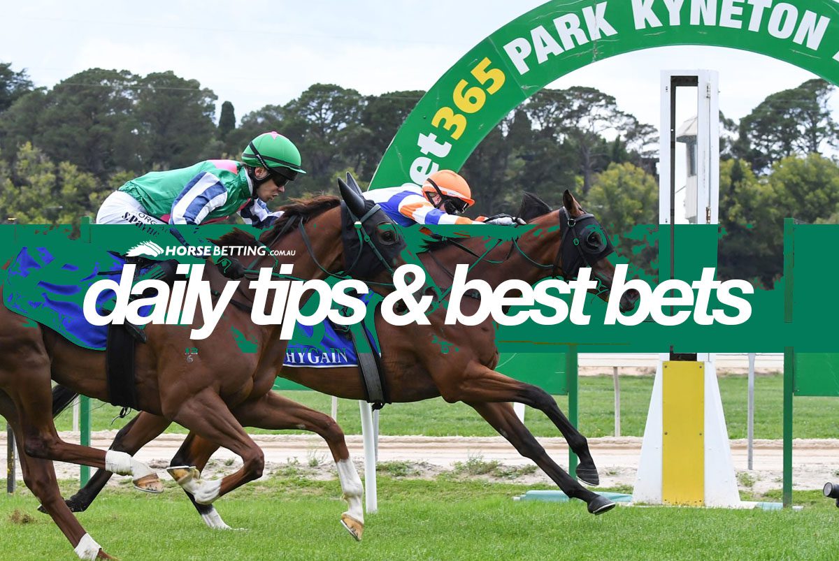Horse Racing Tipster