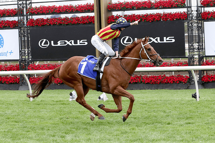 Nature Strip wins VRC Sprint