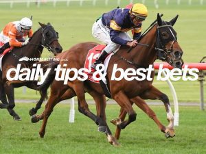 Today's horse racing tips & best bets | November 12, 2021