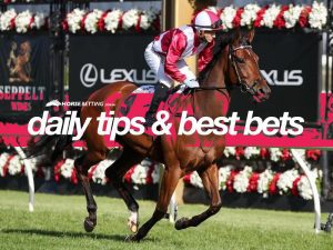 Today's horse racing tips & best bets | November 16, 2021