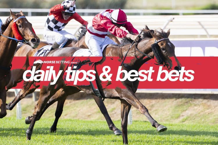 Horse Racing Tips Best Odds