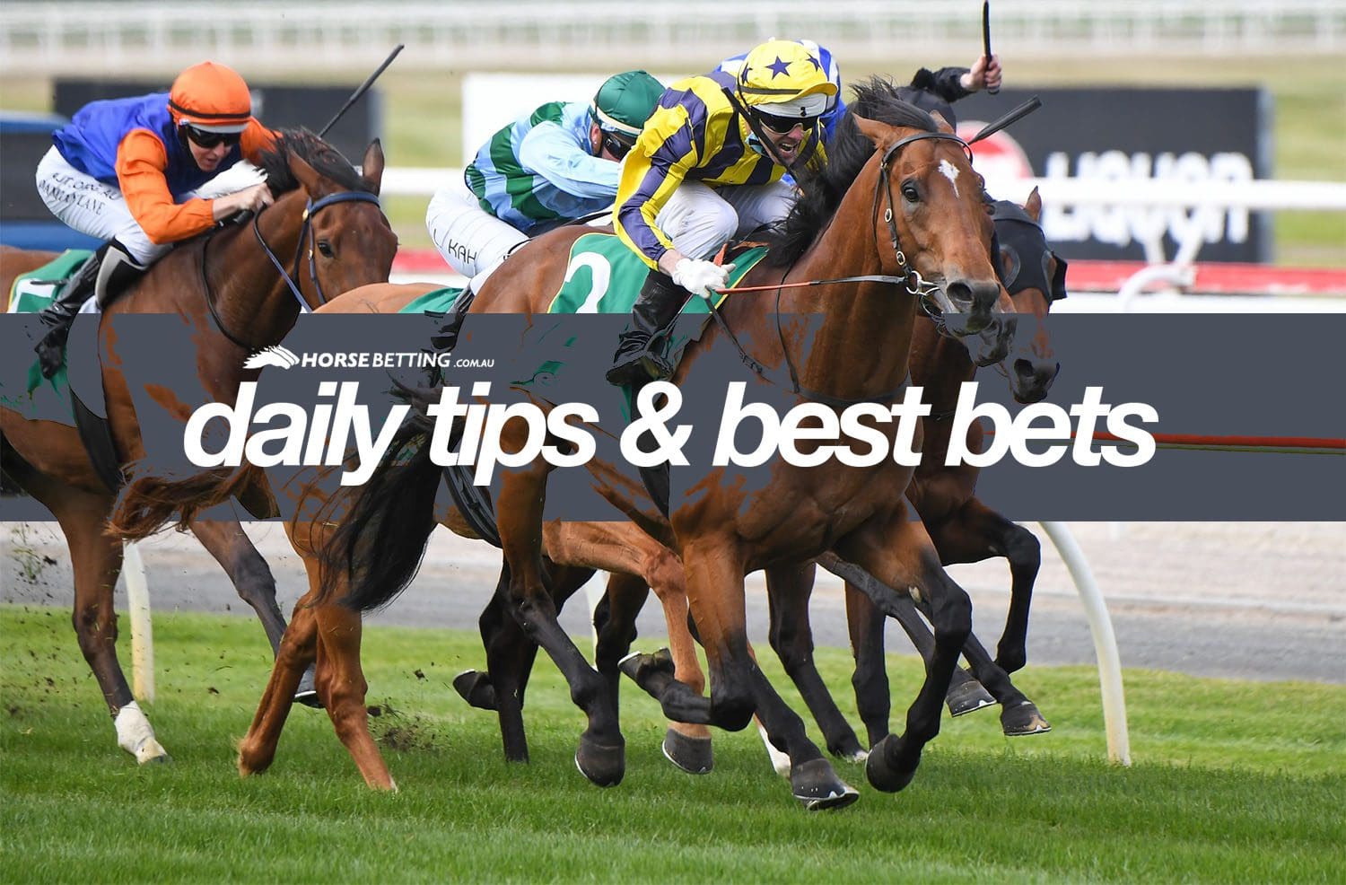 Geelong horse racing tips