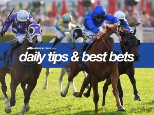 Today's horse racing tips & best bets | November 24, 2021