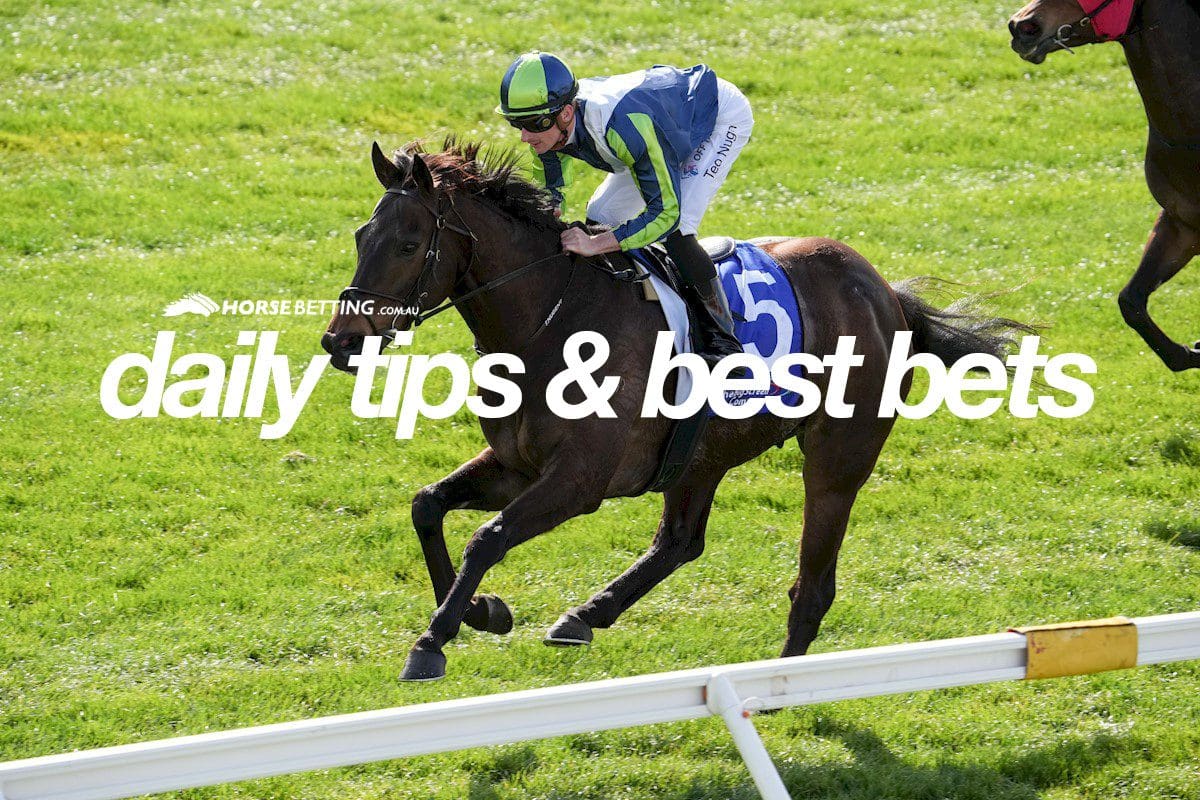 Horse Racing Tipster