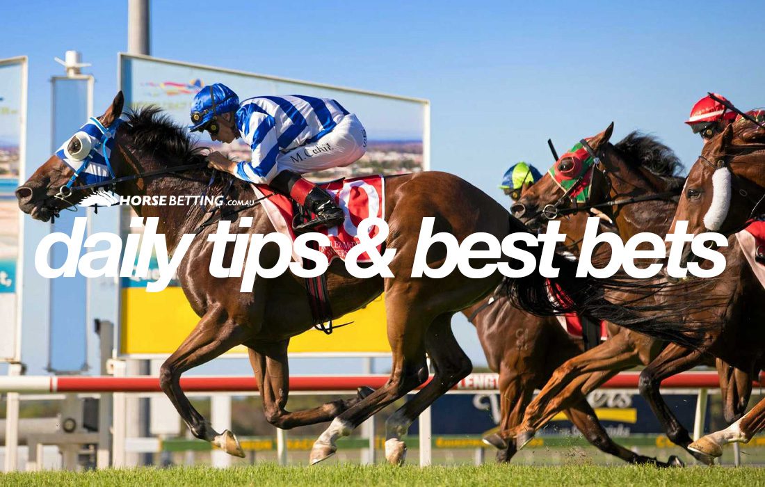 Horse Racing Tipster best record