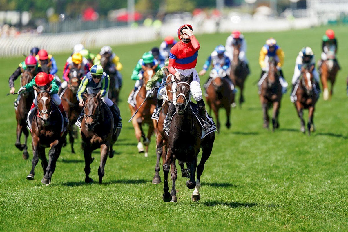 2021 Melbourne Cup Winner Full Results Race Replay