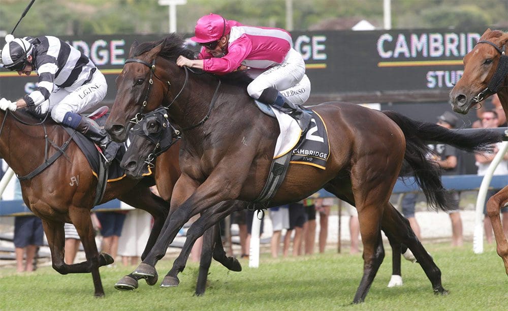 Zabeel Classic True Enough