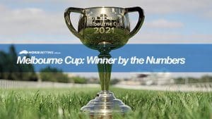 winner-by-the-numbers The 2021 Melbourne Cup Winner By The Numbers