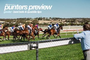Gawler tips, top odds & quaddie selections | Saturday, January 8
