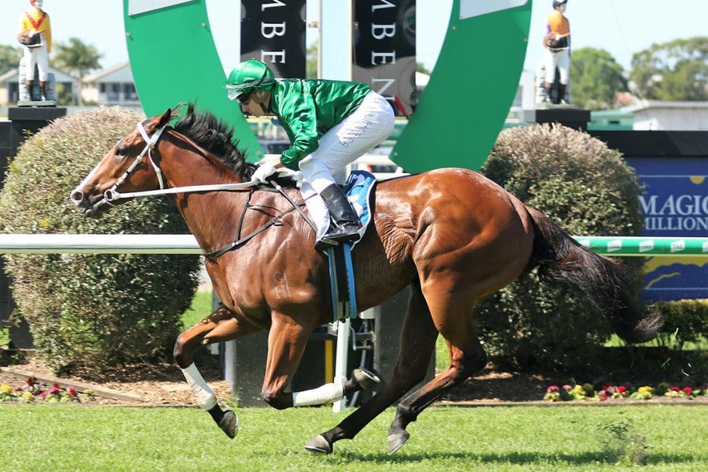 Far Too Easy & Zoukina have won Grafton