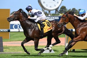 Overpass spoils Anamoe's return in the Expressway Stakes