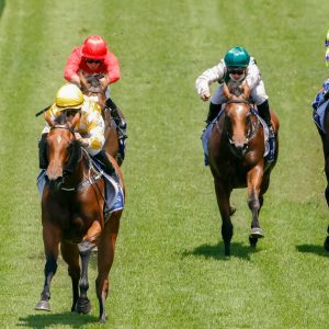 Queen Of The Ball runs them ragged in the Widden Stakes