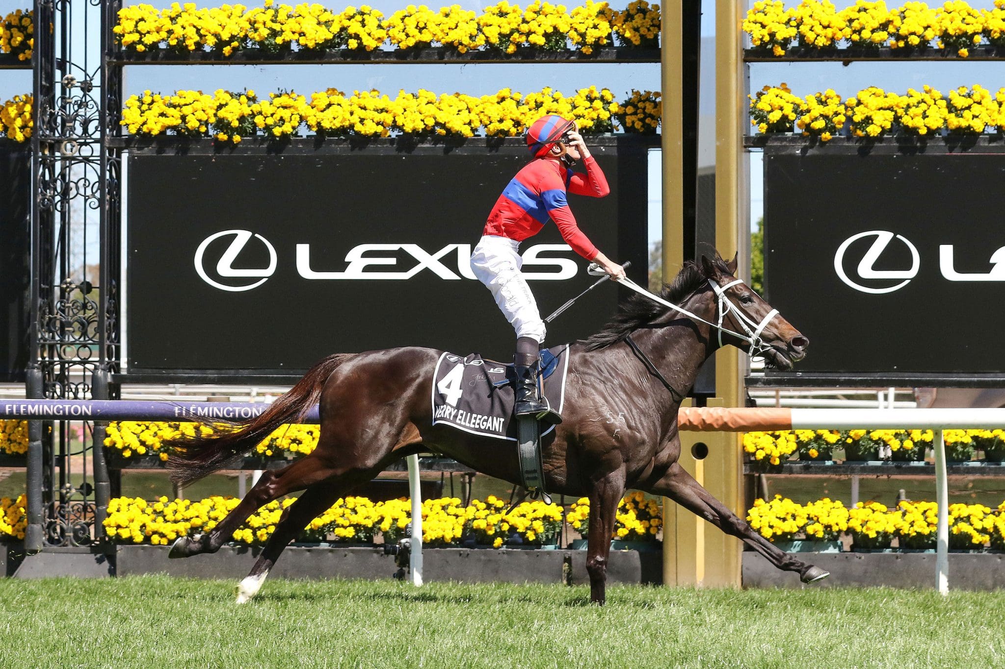 Melbourne Cup Carnival 2023 Dates Major Races How To Bet