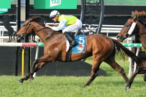 Totally Charmed faces biggest challenge yet at Magic Millions Day