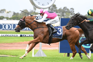 Expat claims the Millie Fox Stakes