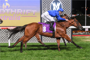 Hellfast Wins The Typhoon Tracy Stakes At Moonee Valley