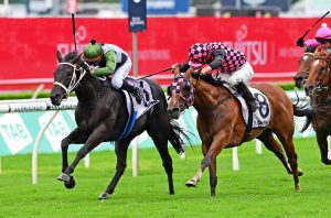 Hinged clings on in thrilling Surround Stakes finish
