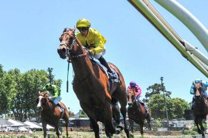 Manfred Stakes betting preview, tips & best odds | Caulfield, 5/2