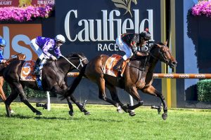 Defibrillate claims consecutive wins in Mornington Cup Prelude