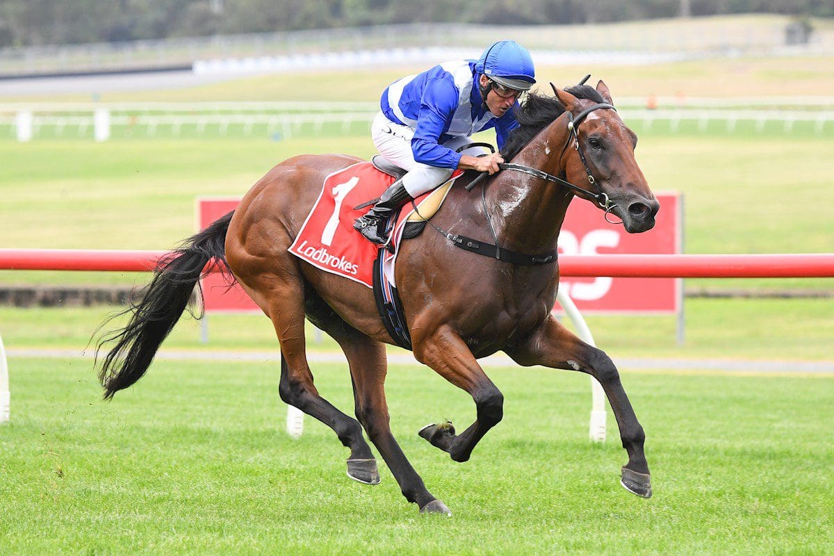 Castlereagh Kid wins at Sandown