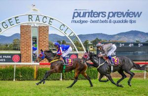 Mudgee racing preview