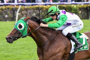 Morvada ‘over the odds again’ at Flemington