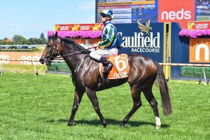 Lavish Girl leads all the way in Angus Armanasco Stakes