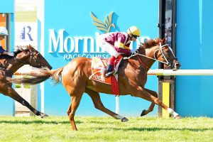 Crystal Pegasus books spot in the Caulfield Cup