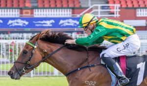 Adam Durrant confident ahead of W.A. Oaks with Constant Dreaming