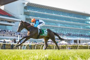 Ed Cummings confident Duais, Parr right combination for Tancred Stakes