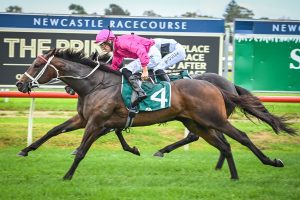 Waller credits team for Fangirl's Group 1 Vinery Stud Stakes win