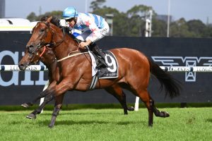Forbidden Love bolts in the George Ryder Stakes