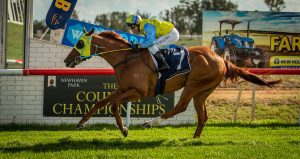 Great Buy & Amulet Street qualify for The Country Championships