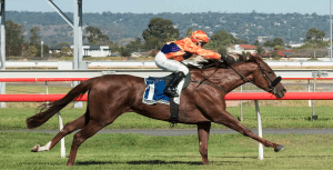 Mac 'N' Cheese shows her class in Clare Lindop Stakes