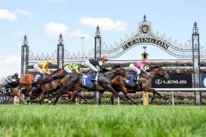 Glassey Miss takes out the Country Mile Series Final