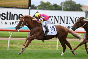 Mr Mozart claims Doncaster Prelude at Newcastle