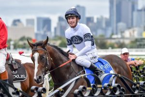 Overpass shows his class in the Inglis Sprint