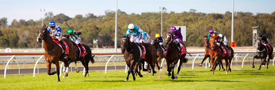 Sunny Coast Group 1 Thoroughbreds