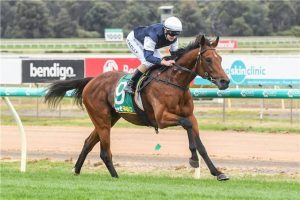 Point Nepean a 'proper stayer' says Williams