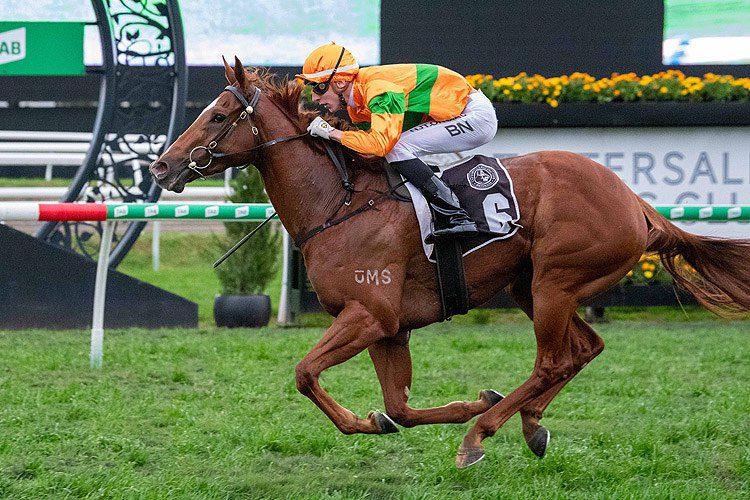 Shooting For Gold wins at Eagle Farm