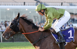 Alegron outstays rivals in VRC St Leger